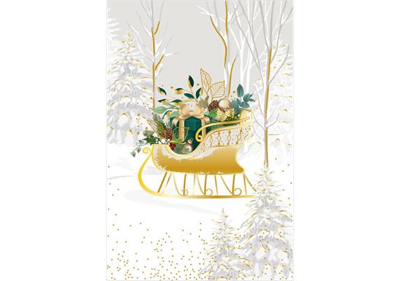 Card Group Karte Elegant Sleigh