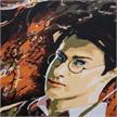 Craft Buddy - Paint by Numbers "Harry Potter Collage" 30 x 50 cm | Bild 3