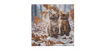 Crystal Art Autumn Kittens, 30 x 30 cm mit Rahmen