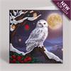 Crystal Art Card Kit Frosted Moon 18 x 18 cm