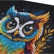 Crystal Art Kit Owl 30 x 30 cm mit Rahmen | Bild 3