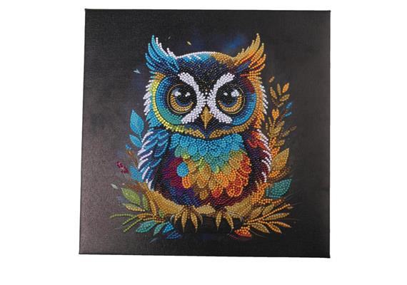 Crystal Art Kit Owl 30 x 30 cm mit Rahmen