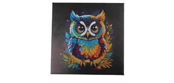 Crystal Art Kit Owl 30 x 30 cm mit Rahmen