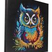 Crystal Art Kit Owl 30 x 30 cm mit Rahmen | Bild 2