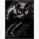 Diamond Painting 6037-40181 Schwarze Katze 25 x 35 cm