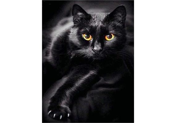 Diamond Painting 6037-40181 Schwarze Katze 25 x 35 cm