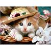 Diamond Painting Katze mit Hut 30 x 40 cm mit Rahmen