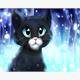 Diamond Painting schwarze Katze 30 x 40 cm mit Rahmen