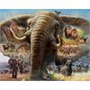 Diamond Painting Set DP23322024 Elephant 50 x 40 cm