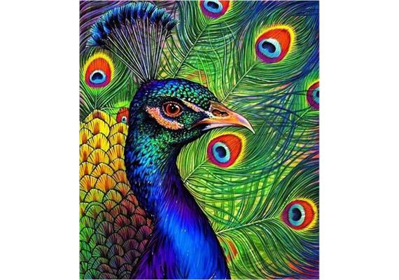 Diamond Painting Set DP238505 Peacock 40 x 50 cm