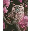 Diamond Painting Set DP238510 Owl 40 x 50 cm