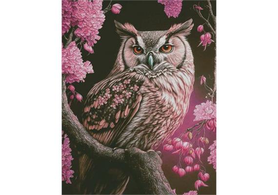 Diamond Painting Set DP238510 Owl 40 x 50 cm