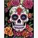 Diamond Painting Set DP238514 Skull 50 x 40 cm