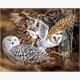 Diamond Painting Set DP238538 Owls 30 x 40 cm