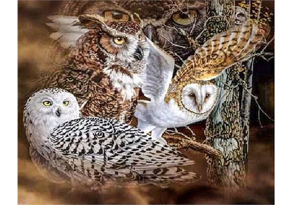 Diamond Painting Set DP238538 Owls 30 x 40 cm