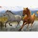 Diamond Painting Set GD75161 Horses 25 x 35 cm