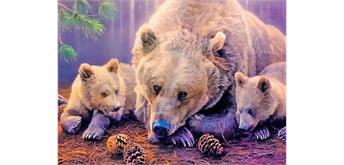 Diamond Painting Set GM1046 Bears 50 x 40 cm