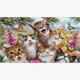 Diamond Painting Set MR12314 Cats 15 x 25 cm