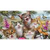 Diamond Painting Set MR12314 Cats 15 x 25 cm