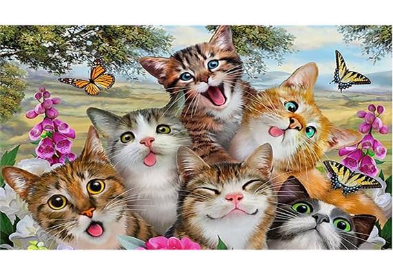 Diamond Painting Set MR12314 Cats 15 x 25 cm