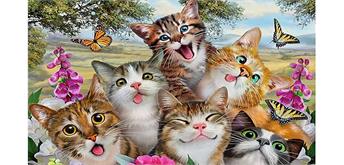 Diamond Painting Set MR12314 Cats 15 x 25 cm