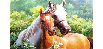 Diamond Painting Set MR24341 Horses 15 x 25 cm