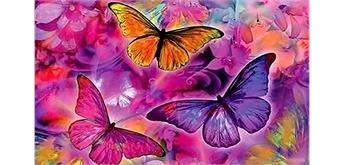 Diamond Painting Set MR24616 Butterflies 15 x 25 cm