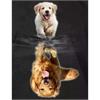 Diamond Painting Set X212 Golden Retriever 40 x 30 cm