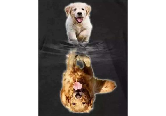 Diamond Painting Set X212 Golden Retriever 40 x 30 cm