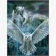 Diamond Painting Set X295 Wolf-Owl 40 x 30 cm