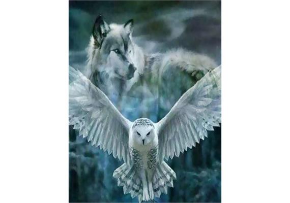 Diamond Painting Set X295 Wolf-Owl 40 x 30 cm