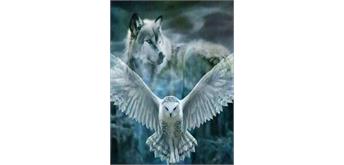 Diamond Painting Set X295 Wolf-Owl 40 x 30 cm