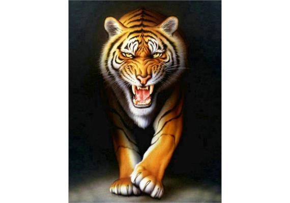 Diamond Painting Tiger 30 x 40 cm mit Rahmen