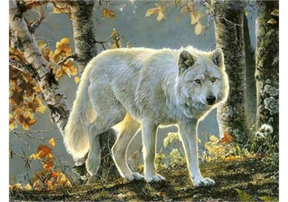 Diamond Painting Wolf 30 x 40 cm mit Rahmen