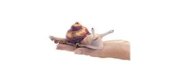 Folkmanis Fingerpuppe 8003 Mini Schnecke