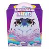 Hatchimals Secret H. Draggle Hatchimals Alive Secret Hatch