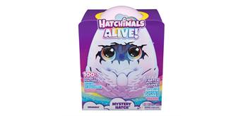 Hatchimals Secret H. Draggle Hatchimals Alive Secret Hatch