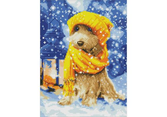 ideyka AMC7770 Diamond Painting - Flauschiger Freund 30 x 40 cm