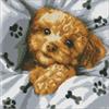 ideyka AMC7780 Diamond Painting - Niedliches Maltipoo 30 x 30