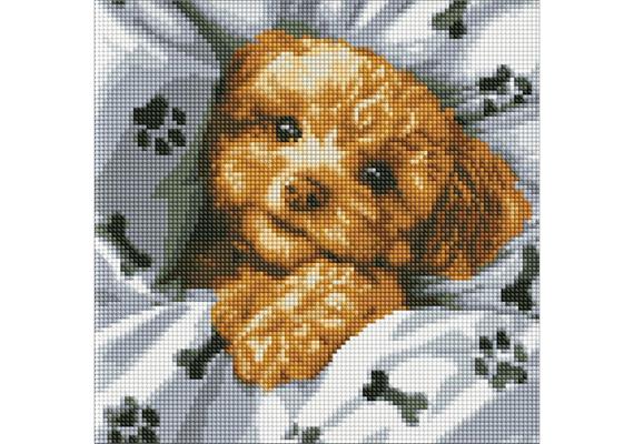 ideyka AMC7780 Diamond Painting - Niedliches Maltipoo 30 x 30