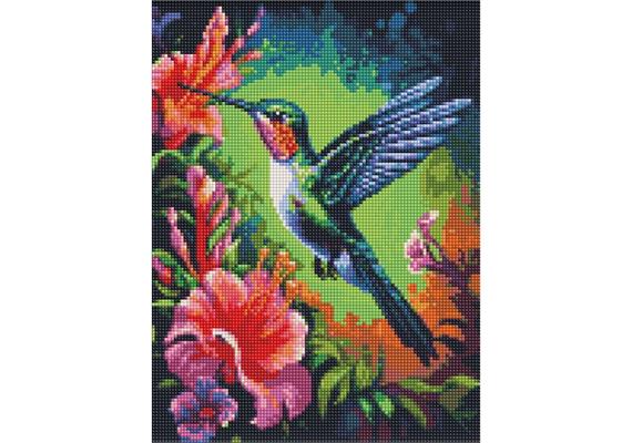 ideyka AMC7845 Diamond Painting - Anspruchsvoller Kolibri 30 x 40 cm