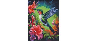 ideyka AMC7845 Diamond Painting - Anspruchsvoller Kolibri 30 x 40 cm