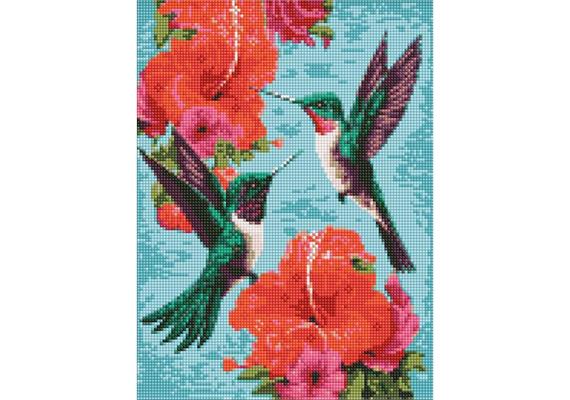 ideyka AMC7920 Diamond Painting - Smaragdkolibris 30 x 40 cm