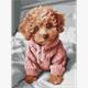 ideyka AMC7978 Diamond Painting - Ein bezauberndes Maltipoo 30 x 40 cm