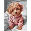 ideyka AMC7978 Diamond Painting - Ein bezauberndes Maltipoo 30 x 40 cm