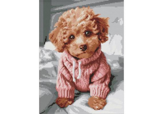 ideyka AMC7978 Diamond Painting - Ein bezauberndes Maltipoo 30 x 40 cm