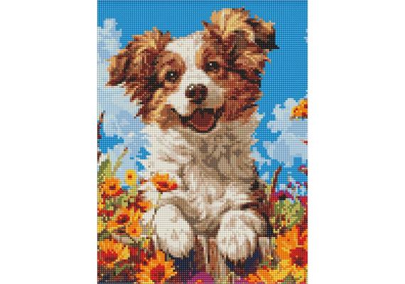 ideyka AMC8022 Diamond Painting - Ein Hund in Blumen 30 x 40 cm