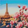 ideyka AMO7178 Diamond Painting - Pariser Magnolien mit Rahmen 40 x 40 cm