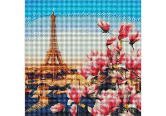 ideyka AMO7178 Diamond Painting - Pariser Magnolien mit Rahmen 40 x 40 cm