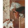 ideyka AMO7295 Diamond Painting - Pferde mit Rahmen 40 x 50 cm